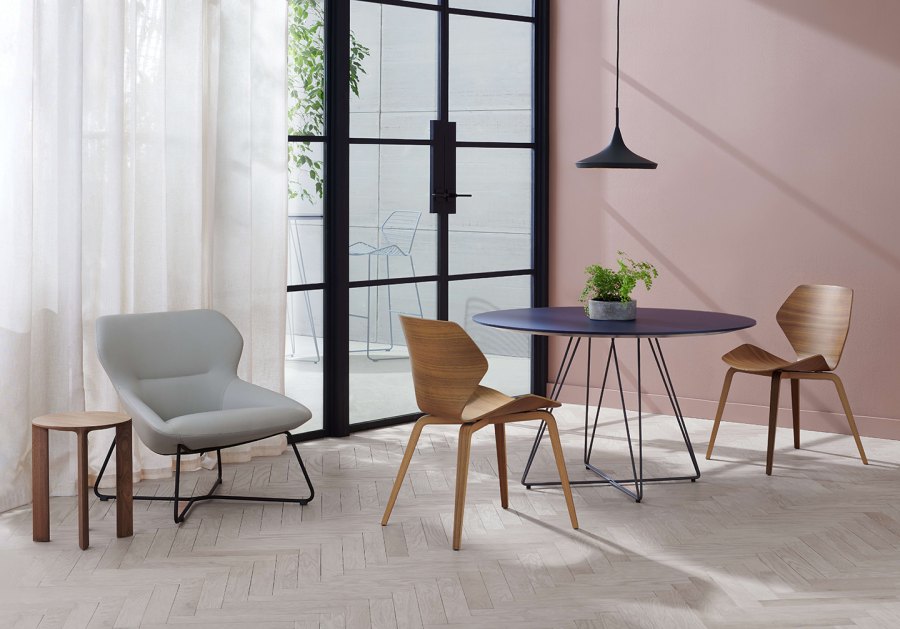 Davis Furniture — Ginkgo