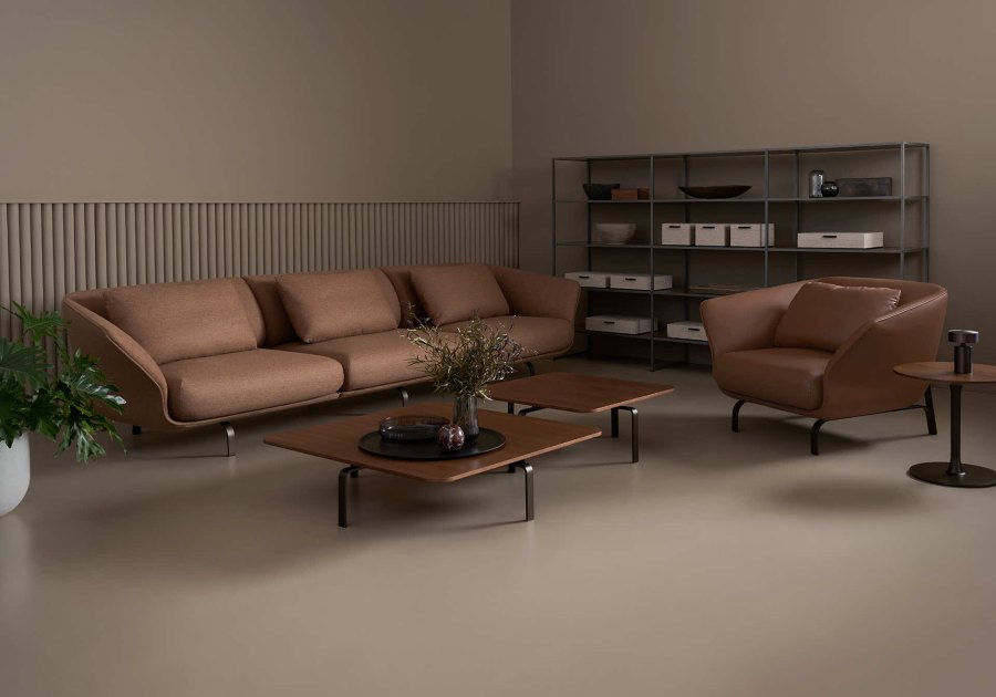 Davis Furniture — Cape